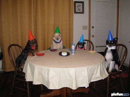 happy_birthday.jpg