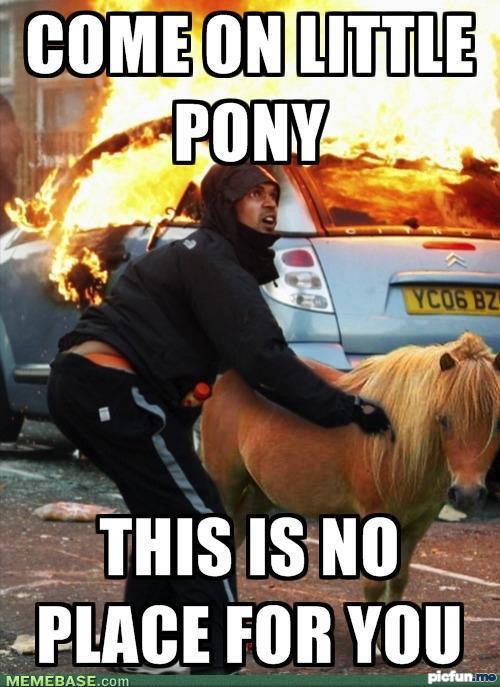 memes-my-little-pony-is-on-fire.jpg