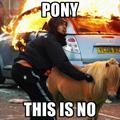 memes-my-little-pony-is-on-fire.jpg
