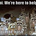 funny-pictures-raccoons-are-here-to-help-you.jpg