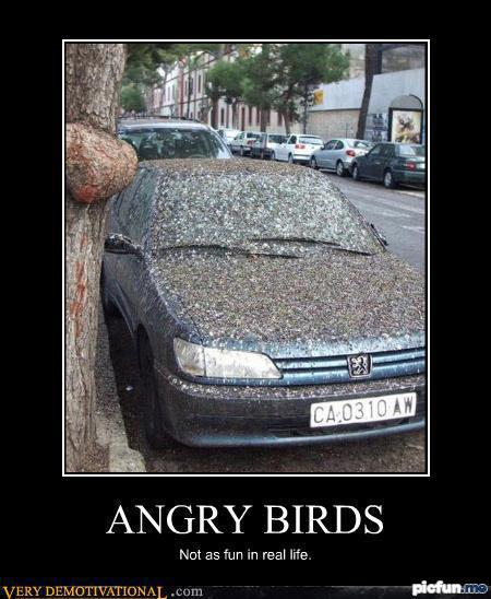 demotivational-posters-angry-birds.jpg