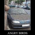 demotivational-posters-angry-birds.jpg