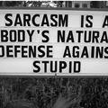 sarcasm-and-stupidity.jpg