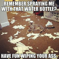 cat-paper-spraying.jpg