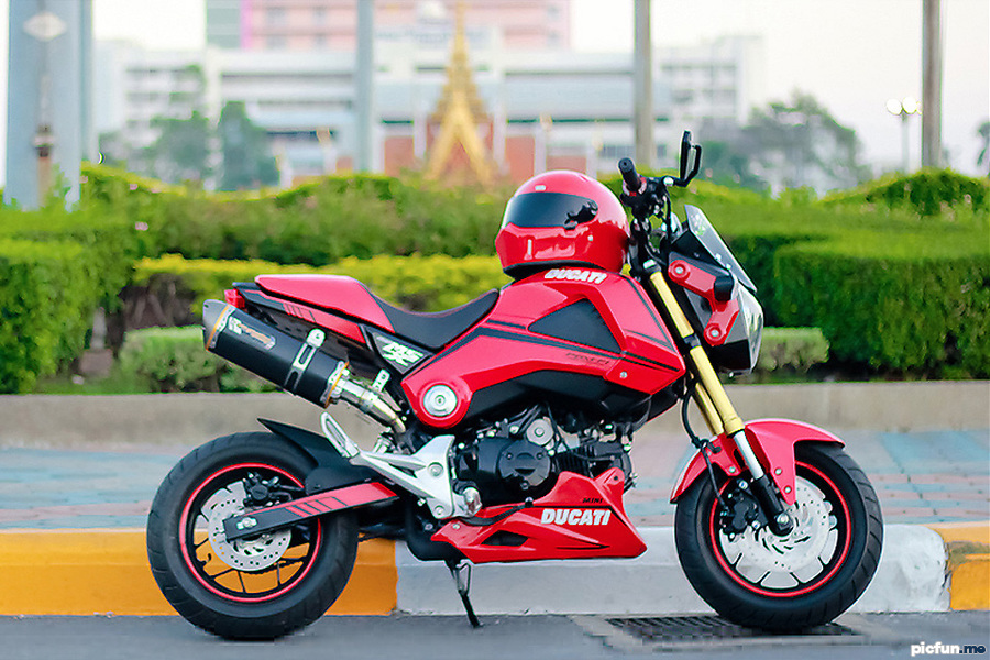 honda-MSX-125-mini-ducati.jpg