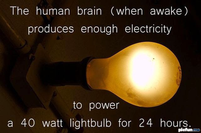 interesting-science-fact.jpg