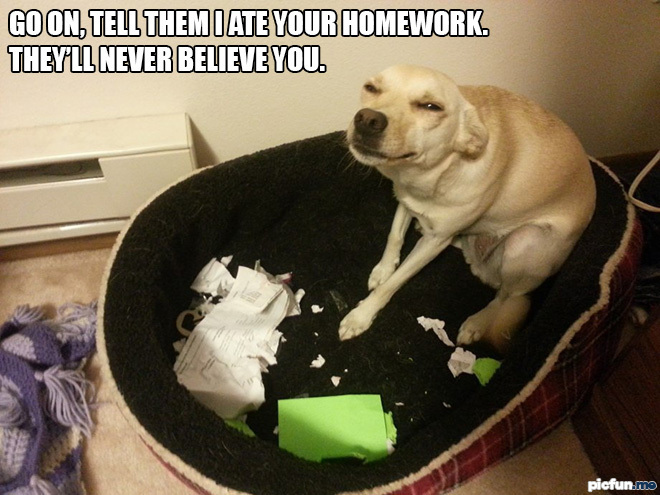 who-ate-your-homework.jpg