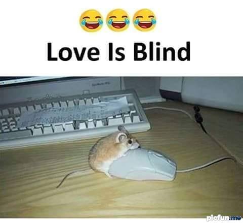 love-is-blind.jpg